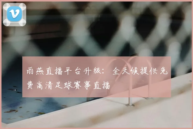 雨燕直播平台升级：全天候提供免费高清足球赛事直播